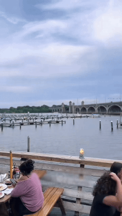 Maryland-Chesapeake Bay blue crab eggs