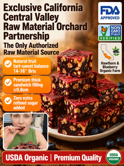 ⛰️Blueberry Walnut Hawthorn Bites, No Added Sugar-9YOE9