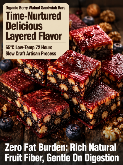 ⛰️Blueberry Walnut Hawthorn Bites, No Added Sugar-9YOE9